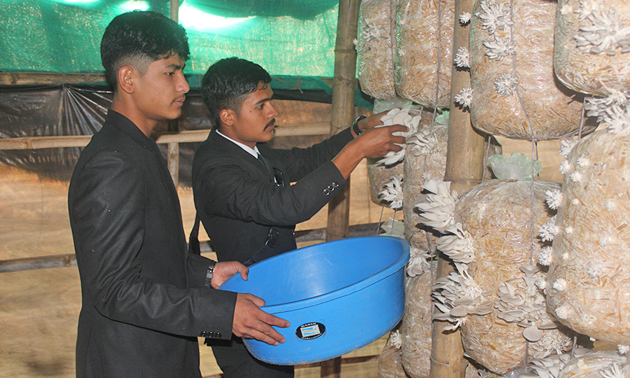 त्रिवेणी माविमा च्याउ फलाउदै विद्यार्थी